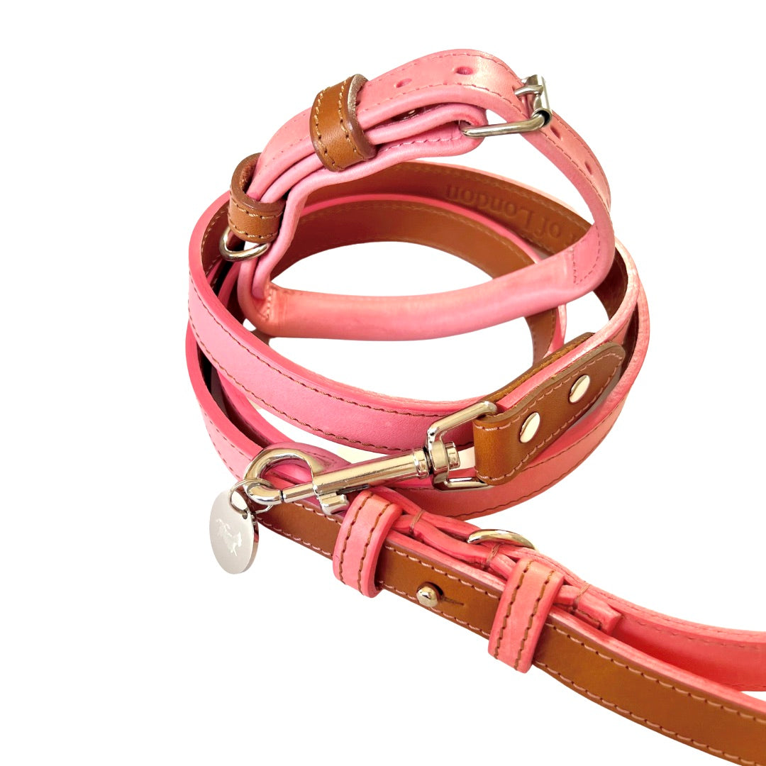Pink Collar & Lead Set