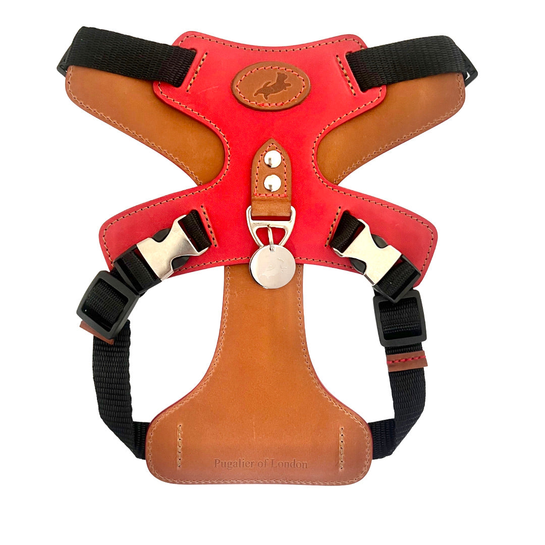 Red Leather Harness