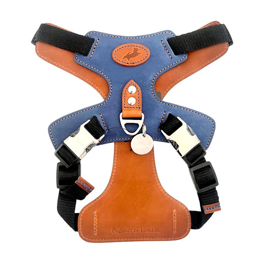 Blue Leather Harness