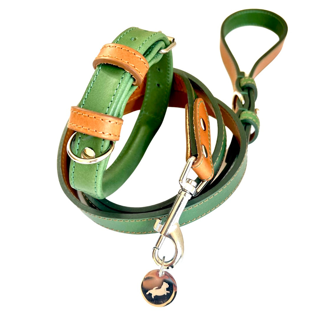 Green Rolled Leather Dog Collar