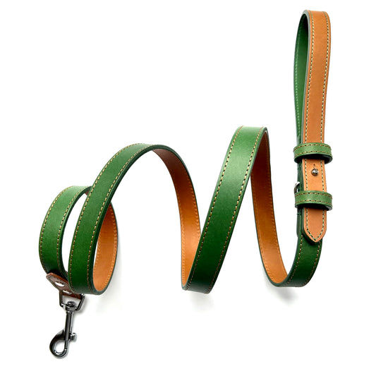 Green Leather Dog Lead