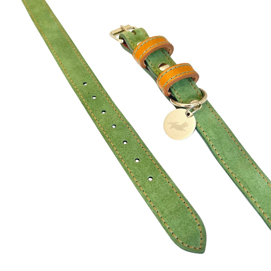 Green Nubuck Dog Collar